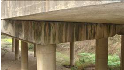 钢筋混凝土整体现浇板桥检测评估