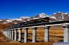 一条震惊世界的高原铁路——青藏铁路